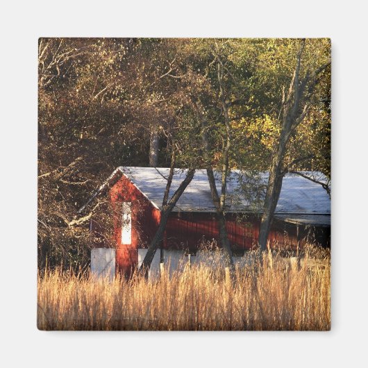 Herfst Barn in Centraal-Maryland Magneet (Voorkant)