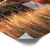 Herfst Barn in Centraal-Maryland Poster (Hoek)