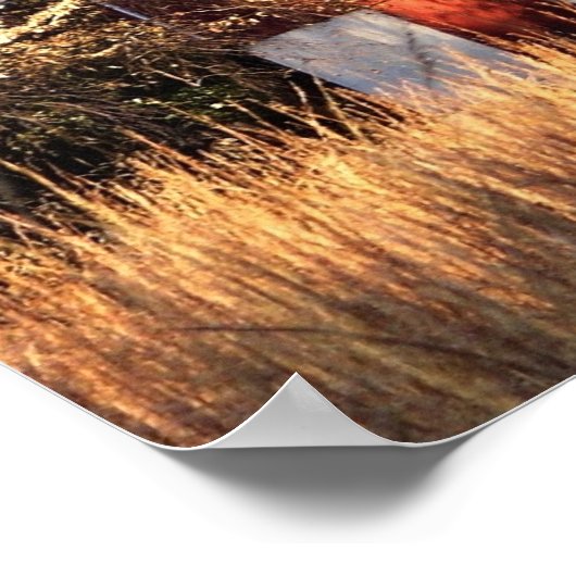 Herfst Barn in Centraal-Maryland Poster (Hoek)