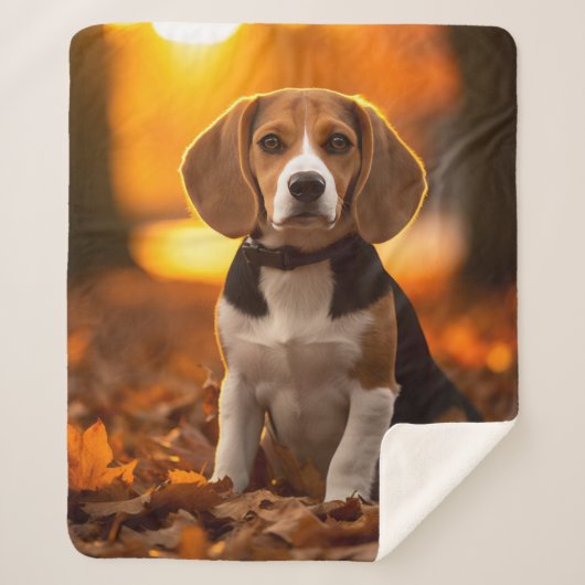 Herfst Beagle Pup Sherpa Deken (Voorkant)