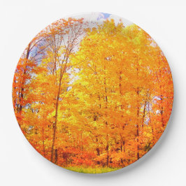 Herfst behandelt najaarkleuren / Thanksgiving Papieren Bordje