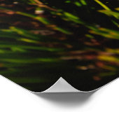 Herfst berglandschap poster (Hoek)