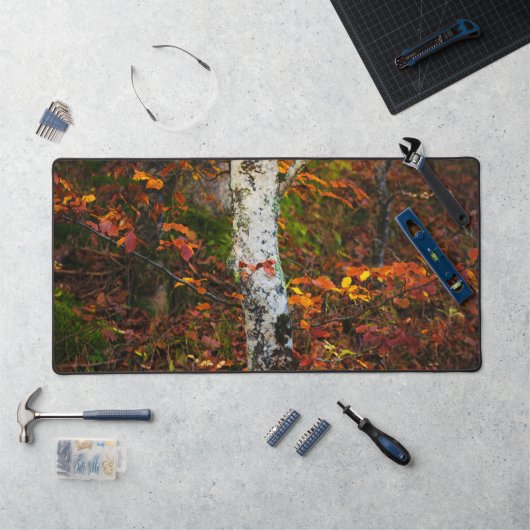 Herfst berk in mossy bos bureaumat (Werkstation)