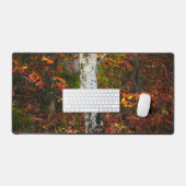 Herfst berk in mossy bos bureaumat (Keyboard & Muis)