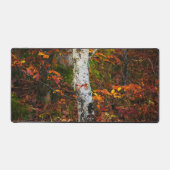 Herfst berk in mossy bos bureaumat (Voorkant)
