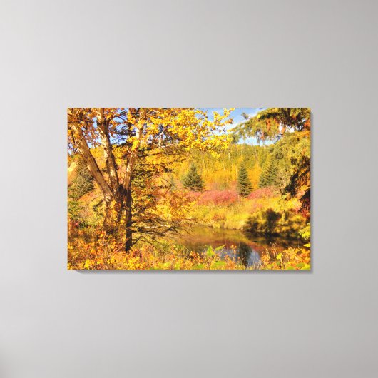 Herfst Berkboom Canvas Afdruk (Voorkant)
