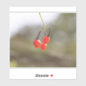 Herfst Berries. Sticker (Vel)