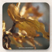 Herfst Bier Onderzetter (Voorkant)