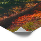 Herfst bij Afdruk van Sluiting koppelen Poster (Hoek)