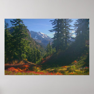 Herfst bij Afdruk van Sluiting koppelen Poster