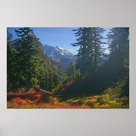 Herfst bij Afdruk van Sluiting koppelen Poster (Voorkant)