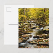 Herfst bij Big Creek Briefkaart (Voorkant / Achterkant)