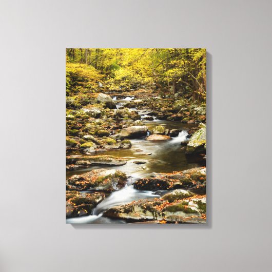 Herfst bij Big Creek Canvas Afdruk (Voorkant)