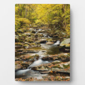 Herfst bij Big Creek Fotoplaat (voorkant)