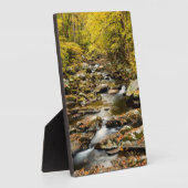 Herfst bij Big Creek Fotoplaat (Zijkant)