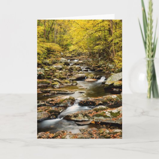 Herfst bij Big Creek Kaart (Voorkant)