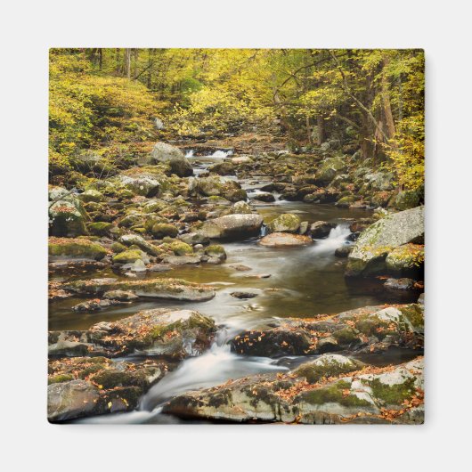 Herfst bij Big Creek Magneet (Voorkant)