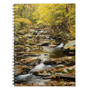 Herfst bij Big Creek Notitieboek