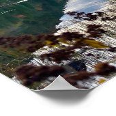 Herfst bij Bubble Pond in Acadia Poster (Hoek)