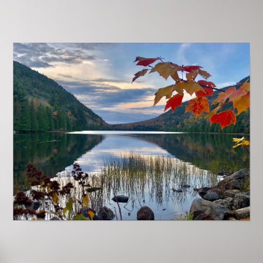 Herfst bij Bubble Pond in Acadia Poster (Voorkant)