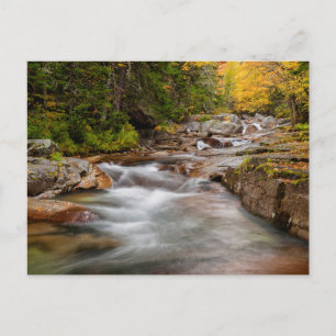 Herfst bij Jefferson Brook, New Hampshire Briefkaart