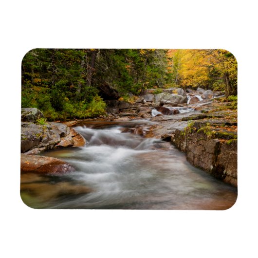 Herfst bij Jefferson Brook, New Hampshire Magneet (Horizontaal)