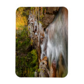 Herfst bij Jefferson Brook, New Hampshire Magneet (Verticaal)