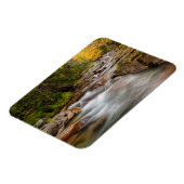 Herfst bij Jefferson Brook, New Hampshire Magneet (Linkerzijde)