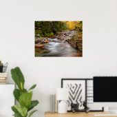 Herfst bij Jefferson Brook, New Hampshire Poster (Thuiskantoor)