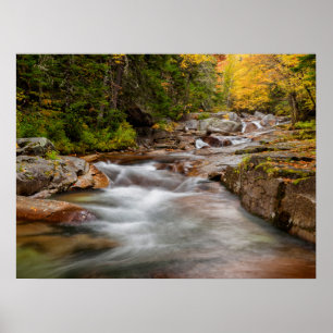 Herfst bij Jefferson Brook, New Hampshire Poster