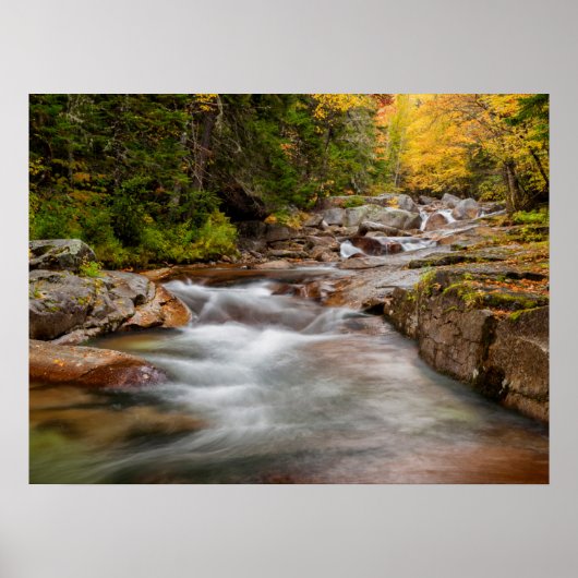 Herfst bij Jefferson Brook, New Hampshire Poster (Voorkant)