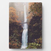 Herfst bij Multnomah Falls, OR Fotoplaat (voorkant)