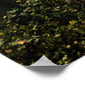 herfst bij Multnomah-Herfsten, OF Poster (Hoek)