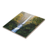 herfst bij Multnomah-Herfsten, OF Tegeltje (Zijkant)