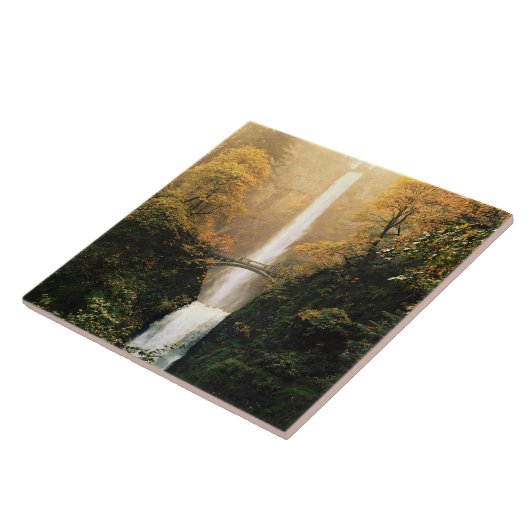 herfst bij Multnomah-Herfsten, OF Tegeltje (Zijkant)