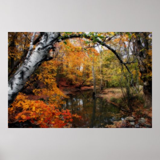 herfst bij petrischaaltjes poster (Voorkant)
