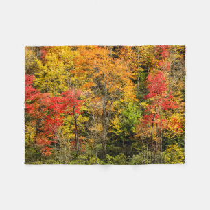 Herfst bij Sims Pond North Carolina, Blue Ridge Fleece Deken