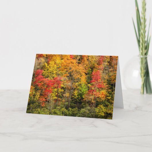 Herfst bij Sims Pond North Carolina, Blue Ridge Kaart (Voorkant)