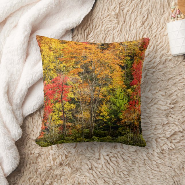 Herfst bij Sims Pond North Carolina, Blue Ridge Kussen (Deken)