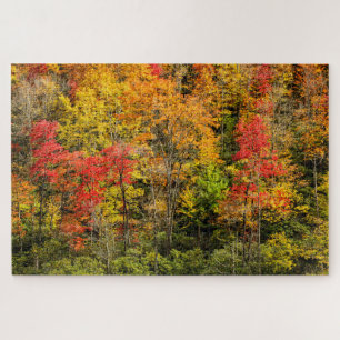 Herfst bij Sims Pond North Carolina, Blue Ridge Legpuzzel