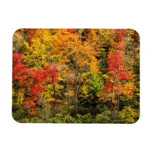 Herfst bij Sims Pond North Carolina, Blue Ridge Magneet