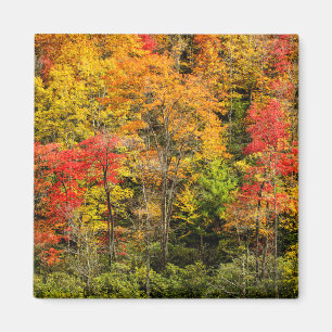 Herfst bij Sims Pond North Carolina, Blue Ridge Magneet
