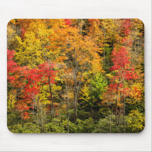 Herfst bij Sims Pond North Carolina, Blue Ridge Muismat