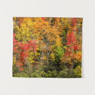 Herfst bij Sims Pond North Carolina, Blue Ridge Wandkleed