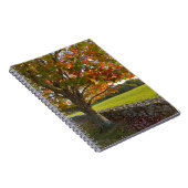 Herfst bij Stone Wall Spiraal Notebook Notitieboek (Rechterzijde)