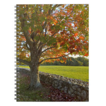 Herfst bij Stone Wall Spiraal Notebook