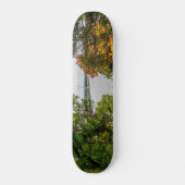 Herfst bij Truman Dam Skateboard (Voorkant)