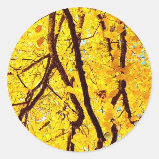 Herfst bijkantoren - gouden geel ronde sticker (Voorkant)