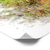 Herfst Birch Forest Print (Hoek)