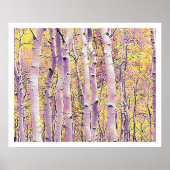 Herfst Birch Poster (Voorkant)